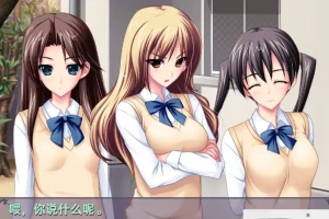 [拔作ADVGPT3.5汉化】[竹子社] 毎日がM！ 每天都是M ![电脑3.54G]-IS